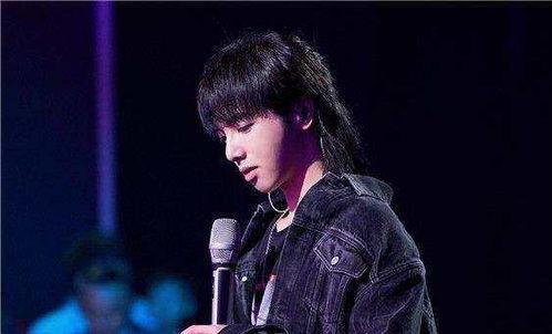 娱乐圈吃瓜华晨宇是谁啊,娱乐圈吃瓜群众心中的音乐才子