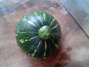 湖南娱乐吃瓜,吃瓜群众揭秘幕后真相