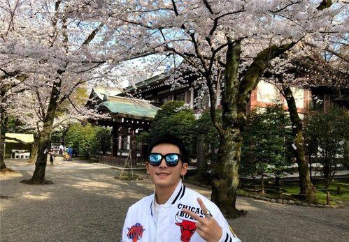 娱乐吃瓜热榜第一名